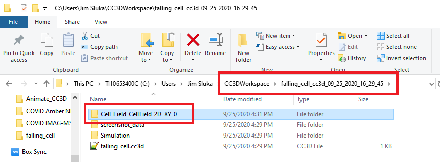 File names and folder