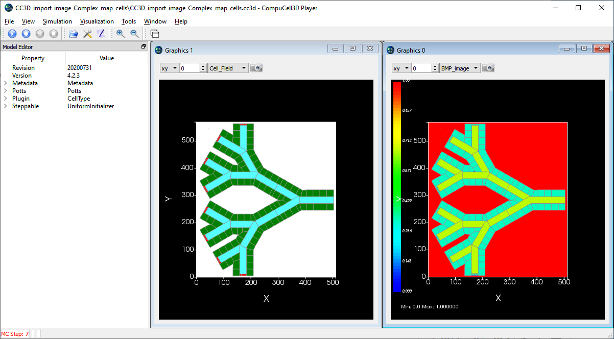 Cells in CC3D