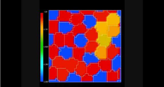 Delta-Notch Patterning Simulation