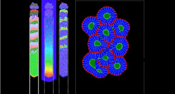 Somitogenesis Without Somitic Clock